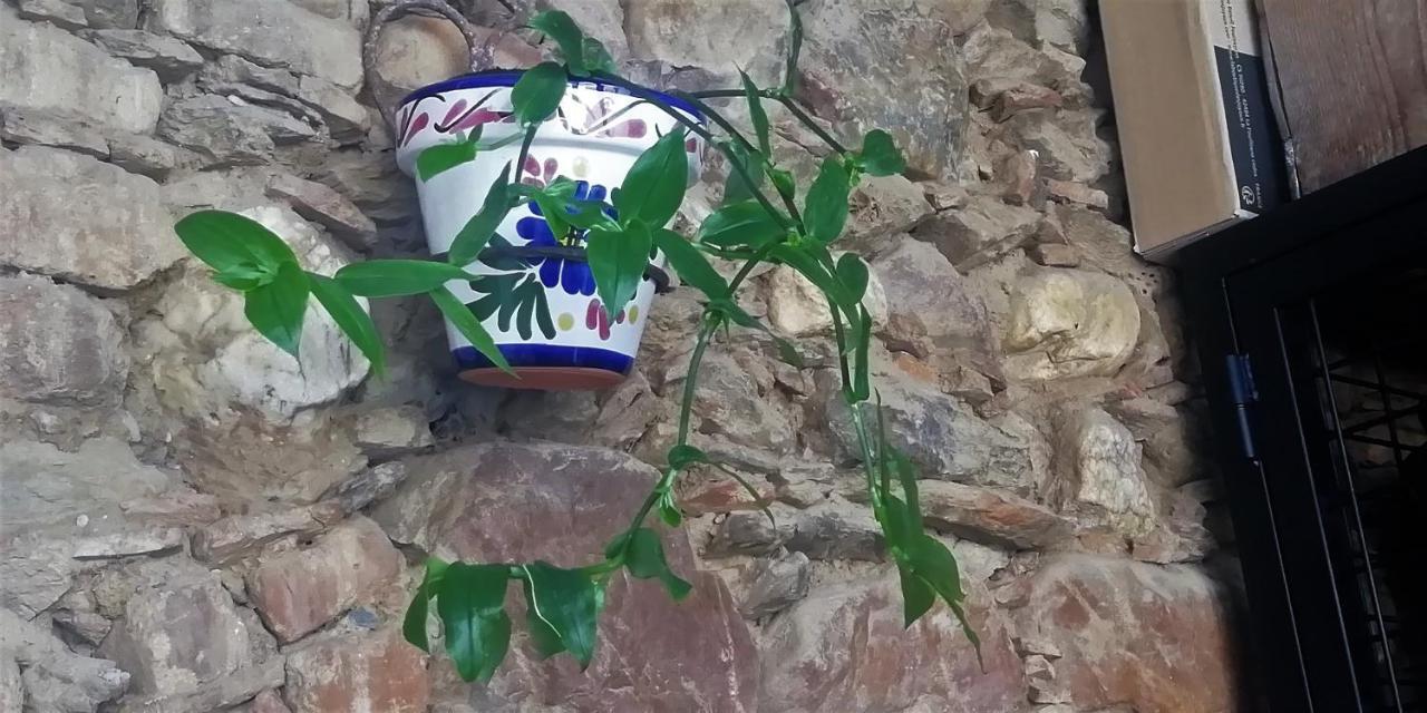 Casa Rural Abuela Maxi Ríolobos Екстериор снимка